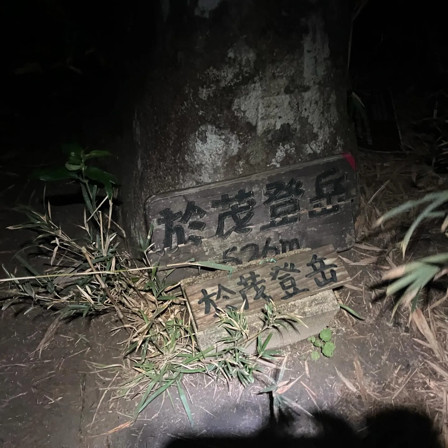 沖縄県の最高峰 石垣島の於茂登岳(おもとだけ)⛰️‼️