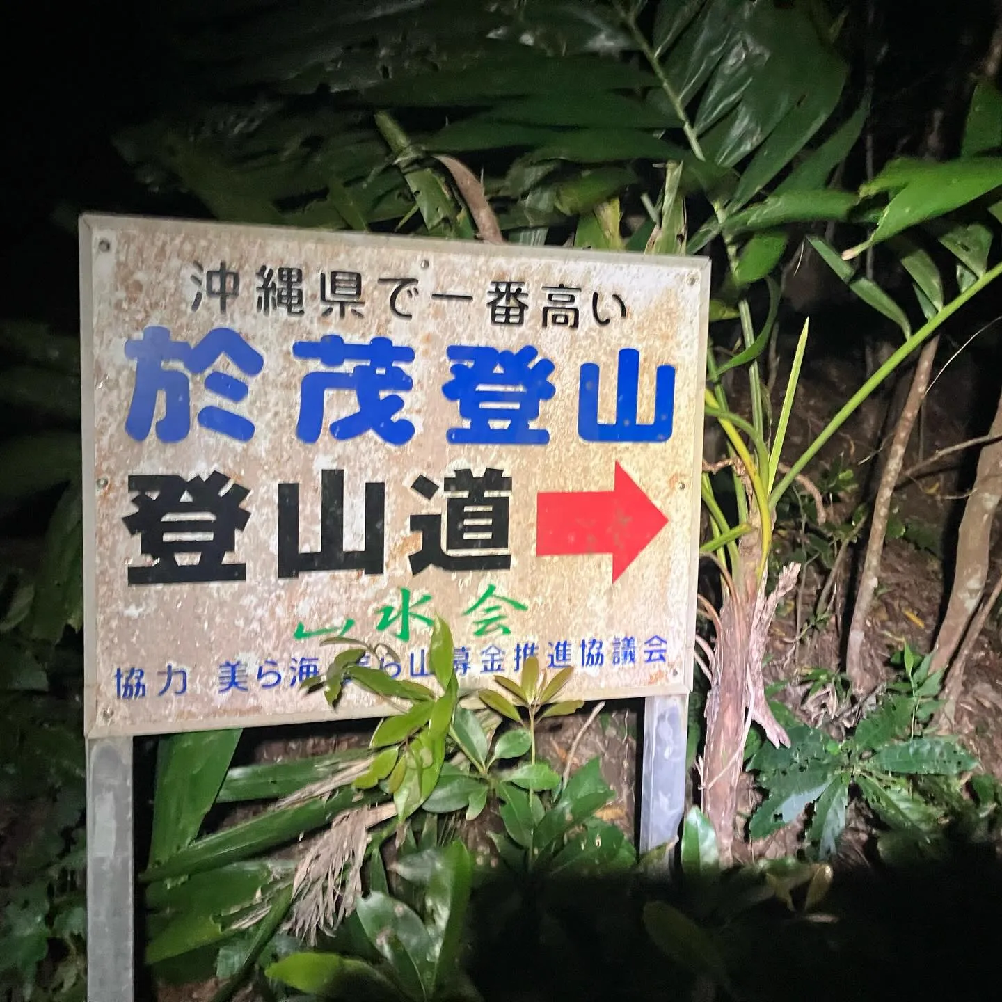 沖縄県の最高峰 石垣島の於茂登岳(おもとだけ)⛰️‼️