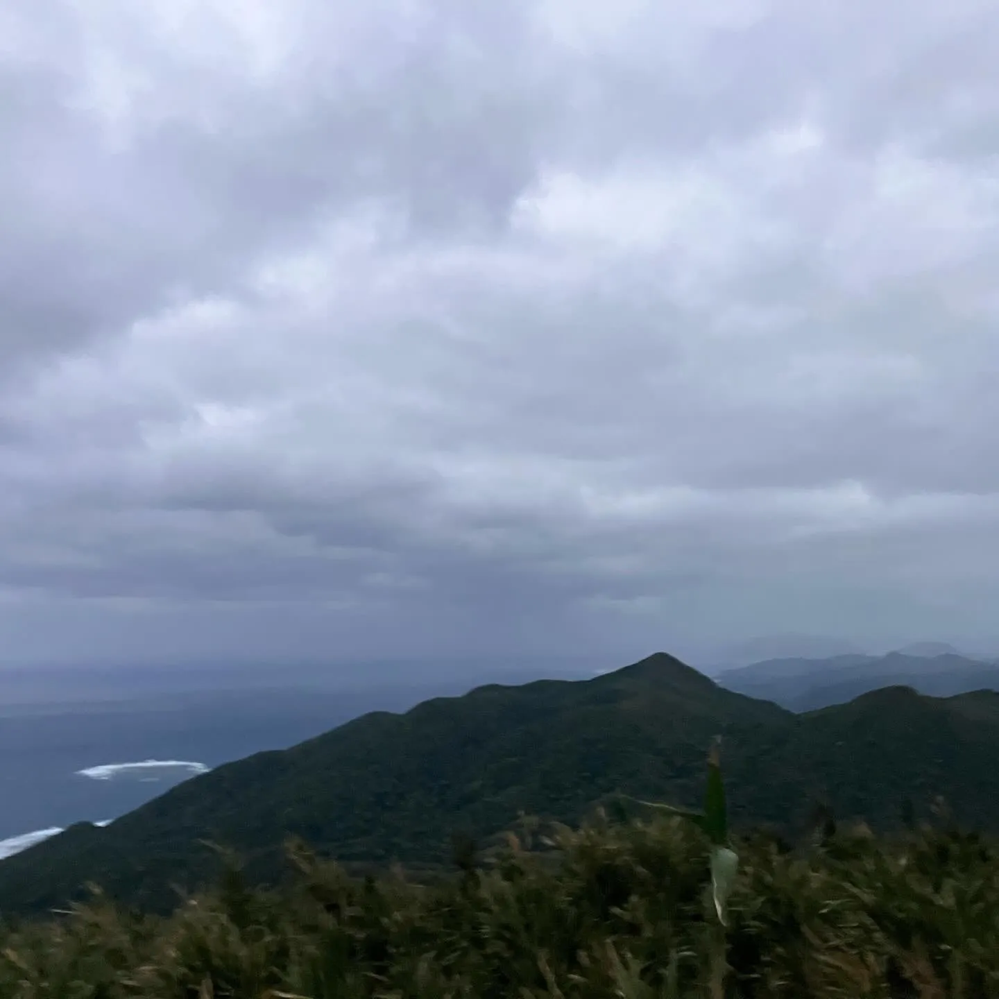 沖縄県の最高峰 石垣島の於茂登岳(おもとだけ)⛰️‼️