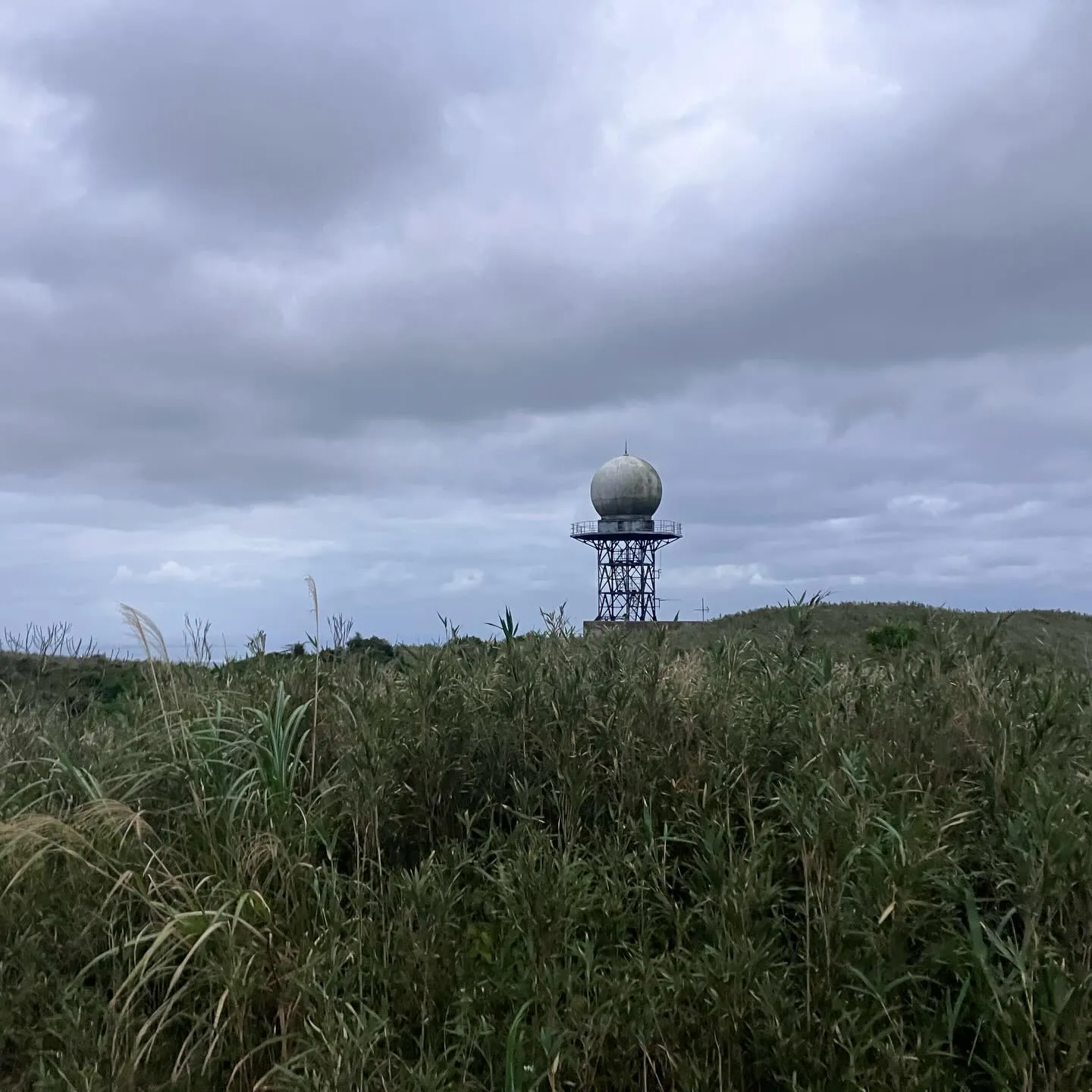 沖縄県の最高峰 石垣島の於茂登岳(おもとだけ)⛰️‼️