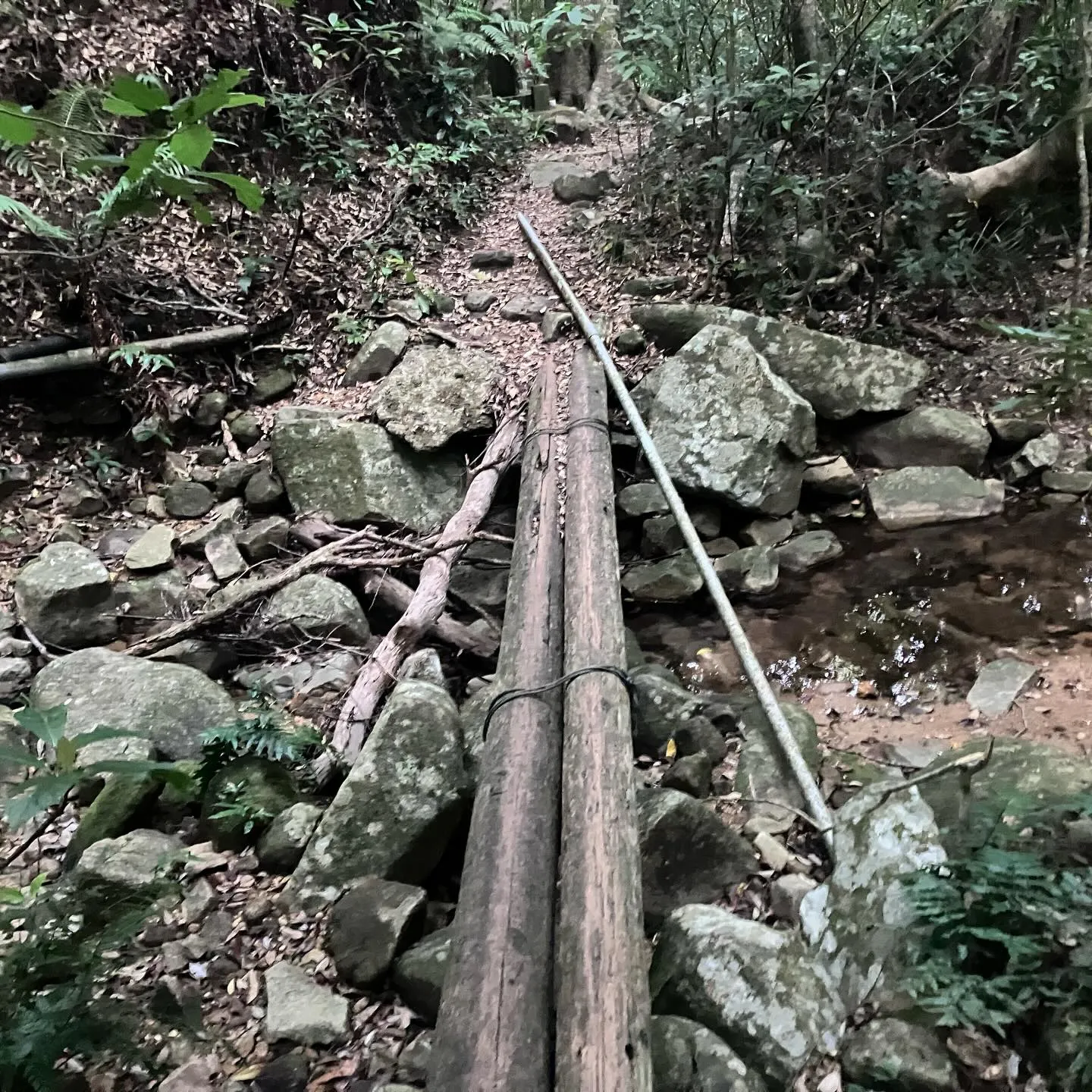 沖縄県の最高峰 石垣島の於茂登岳(おもとだけ)⛰️‼️