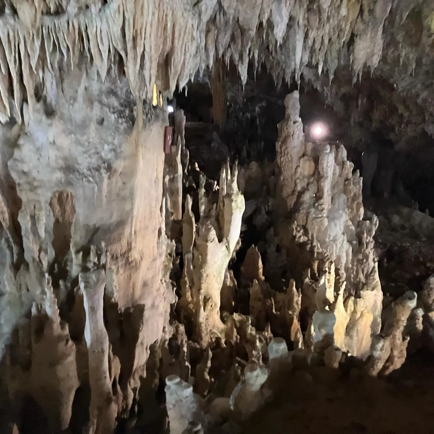 石垣島鍾乳洞は日本最南端の観光鍾乳洞