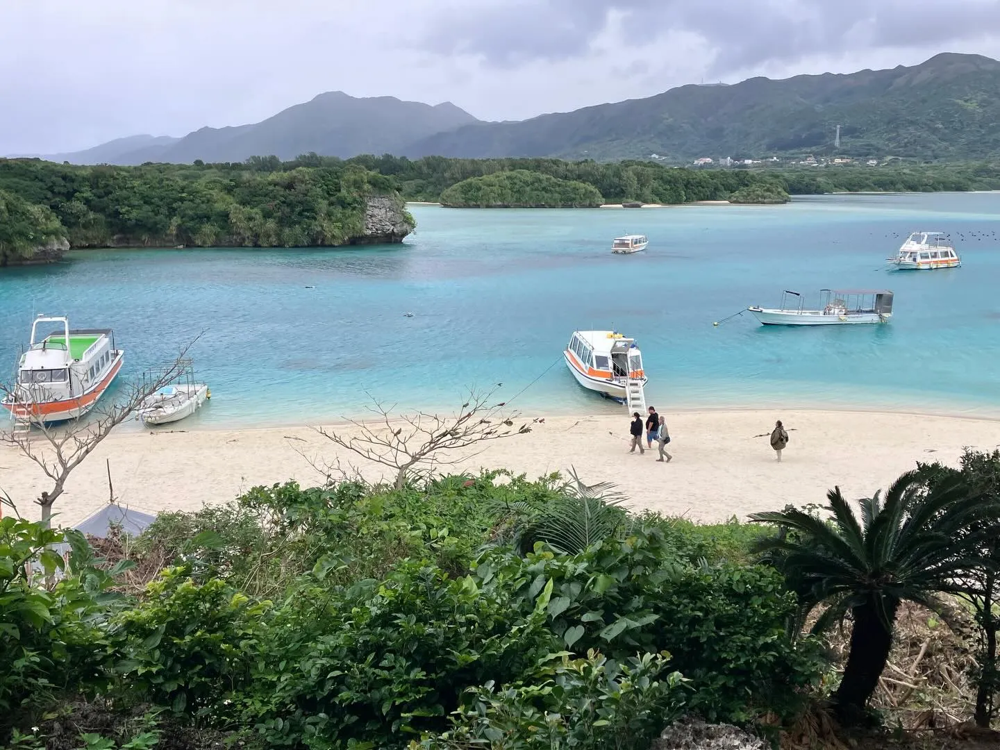 石垣島で最も美しい川平湾のグラスボート🛳️