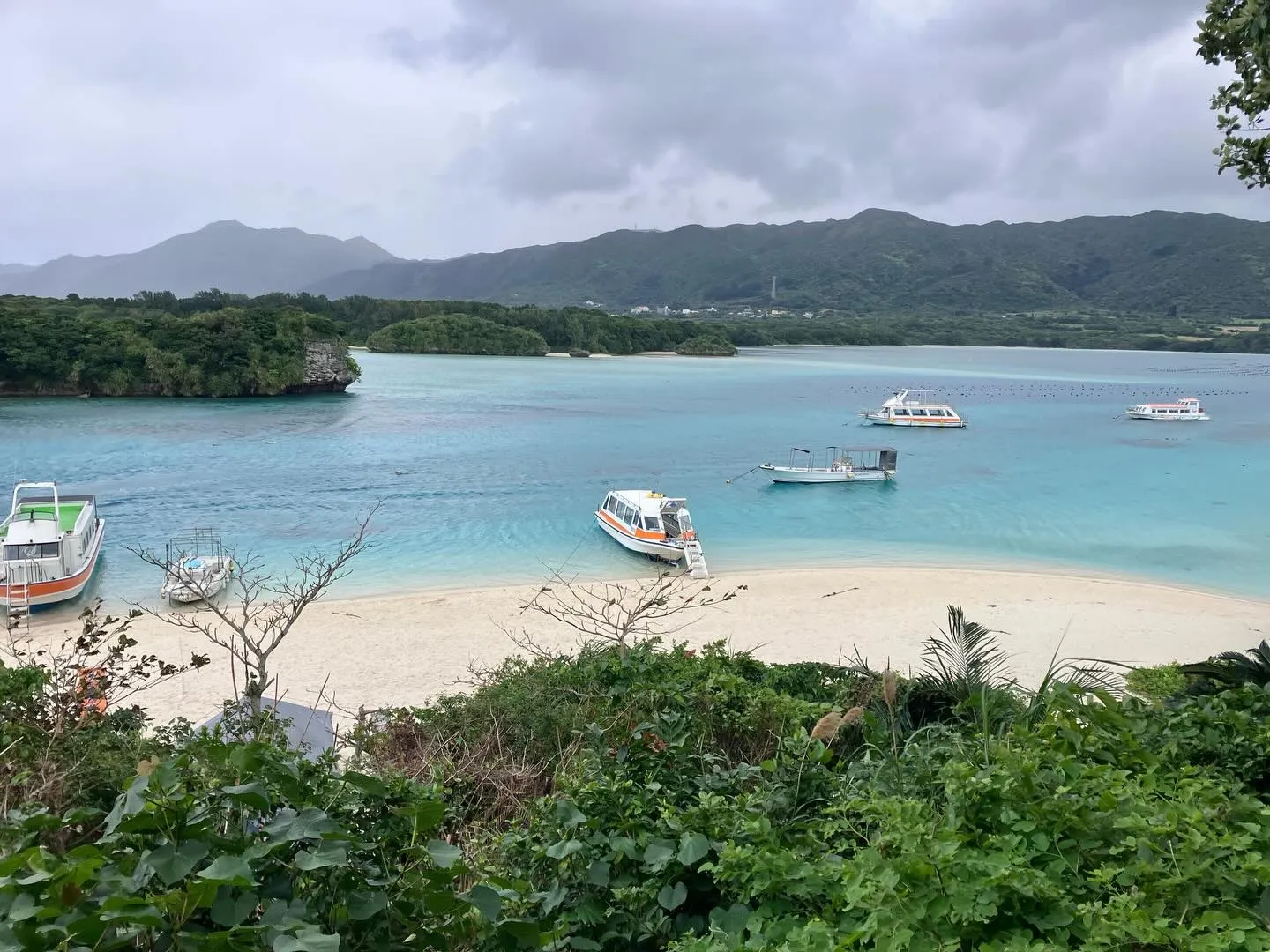 石垣島で最も美しい川平湾のグラスボート🛳️