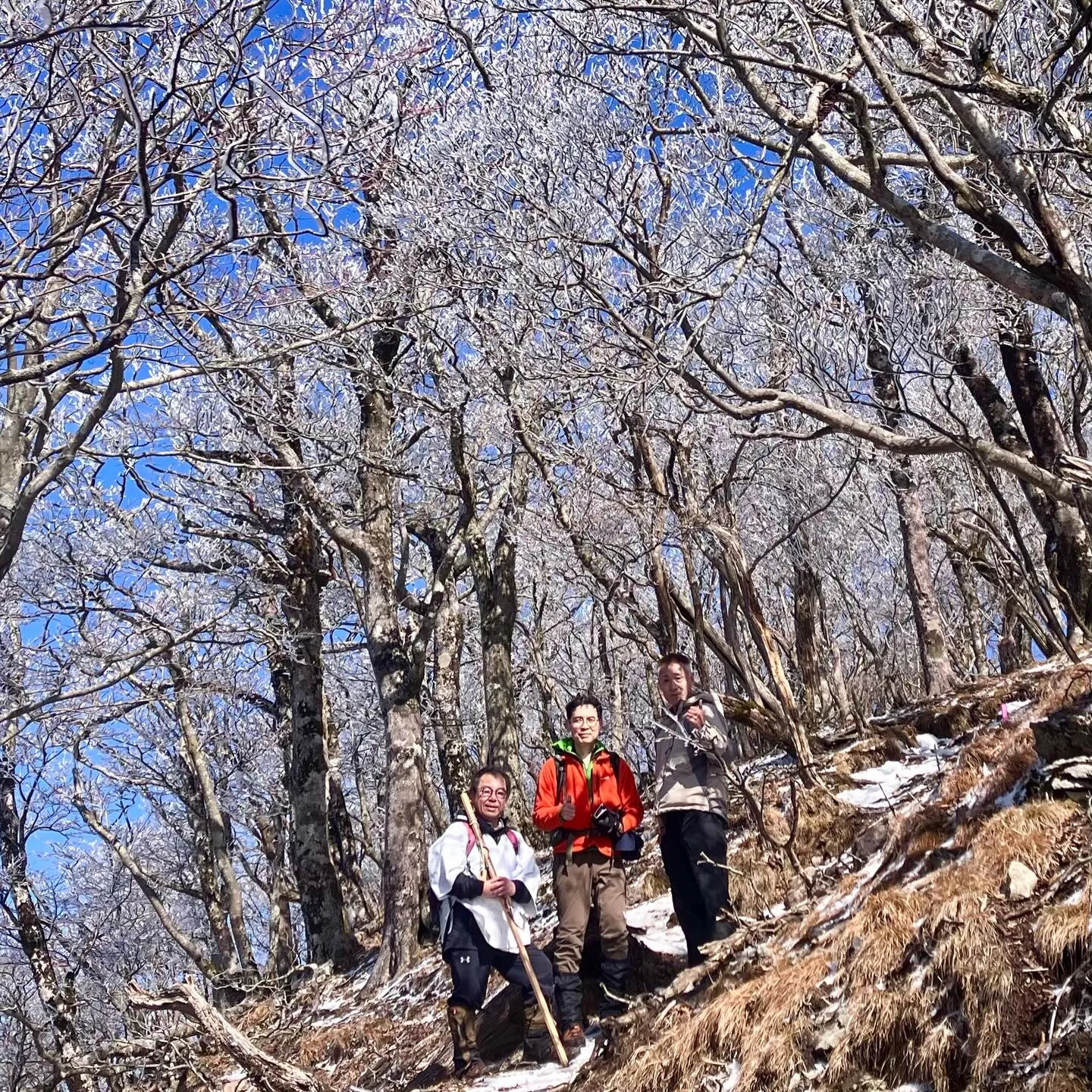 日本三大修験 英彦山の霧氷に囲まれて❄️🤩