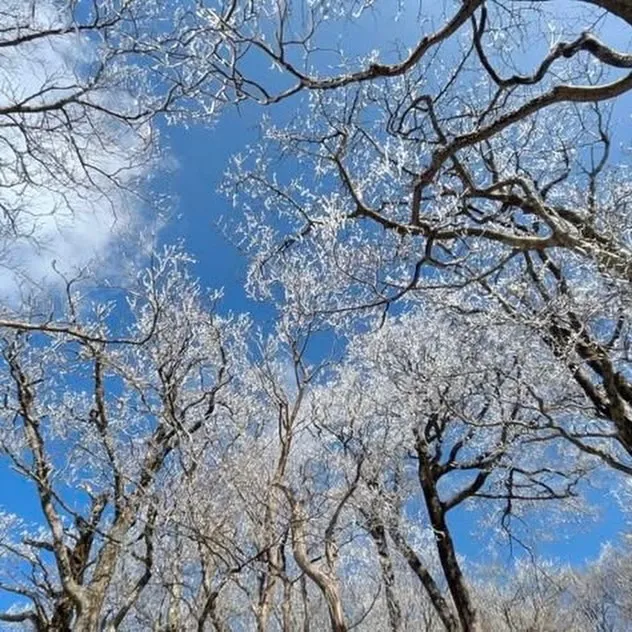 日本三大修験 英彦山の霧氷に囲まれて❄️🤩