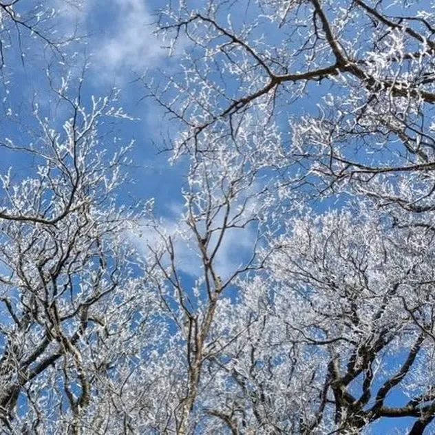 日本三大修験 英彦山の霧氷に囲まれて❄️🤩