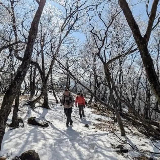 日本三大修験 英彦山の霧氷に囲まれて❄️🤩