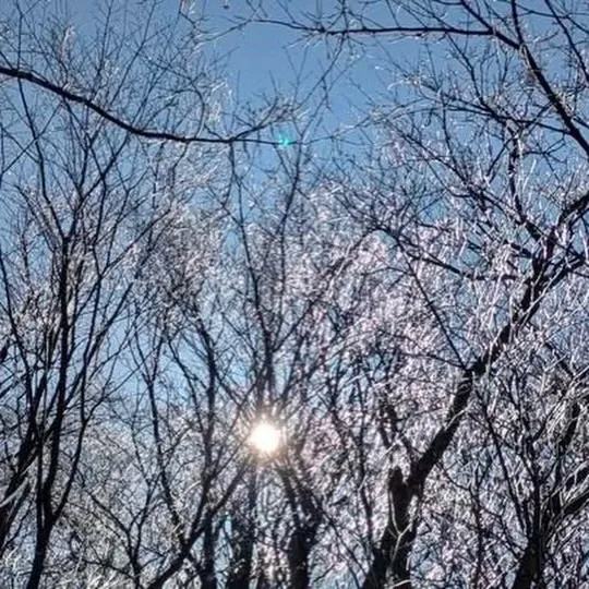 日本三大修験 英彦山の霧氷に囲まれて❄️🤩