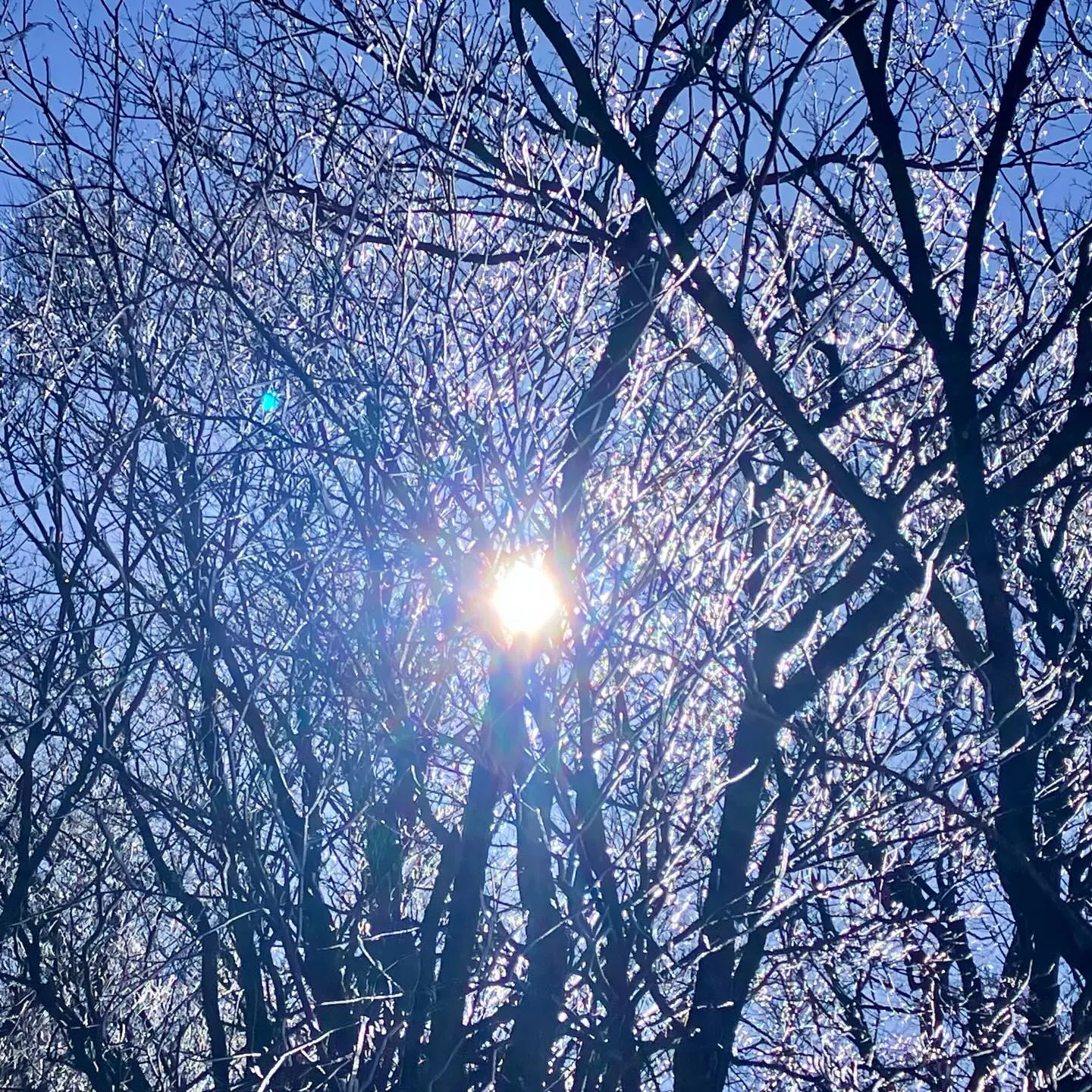 日本三大修験 英彦山の霧氷に囲まれて❄️🤩