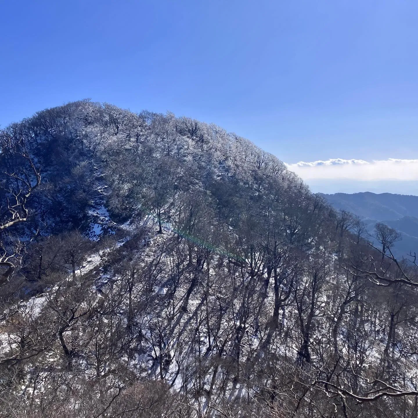 日本三大修験 英彦山の霧氷に囲まれて❄️🤩