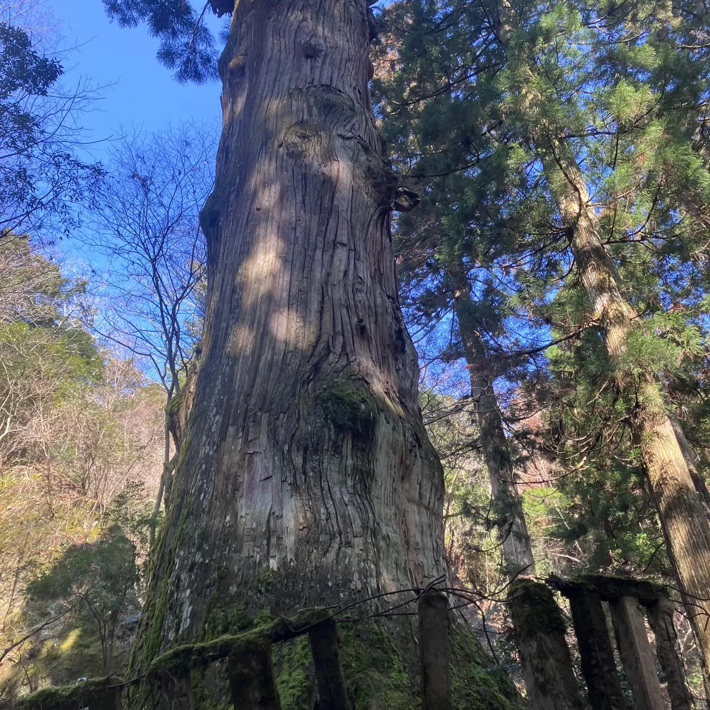 日本三大修験 英彦山👺