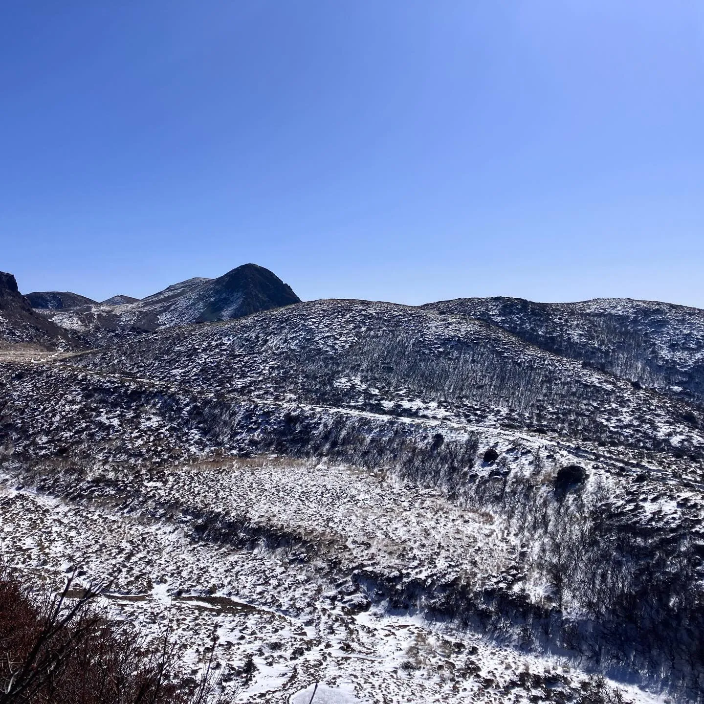 2週間前のくじゅう牧ノ戸峠から中岳・久住山への登山道❄️