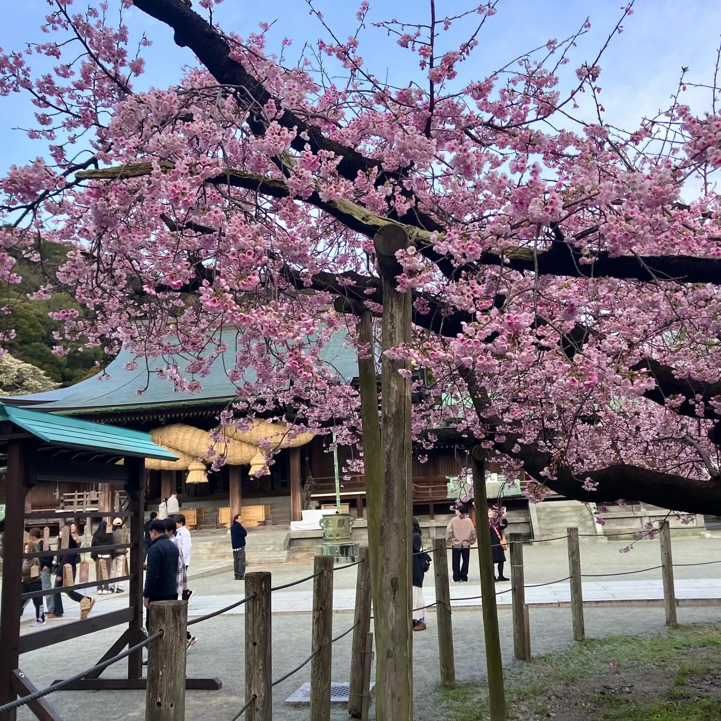 3/1 宮地嶽神社 光の道✨