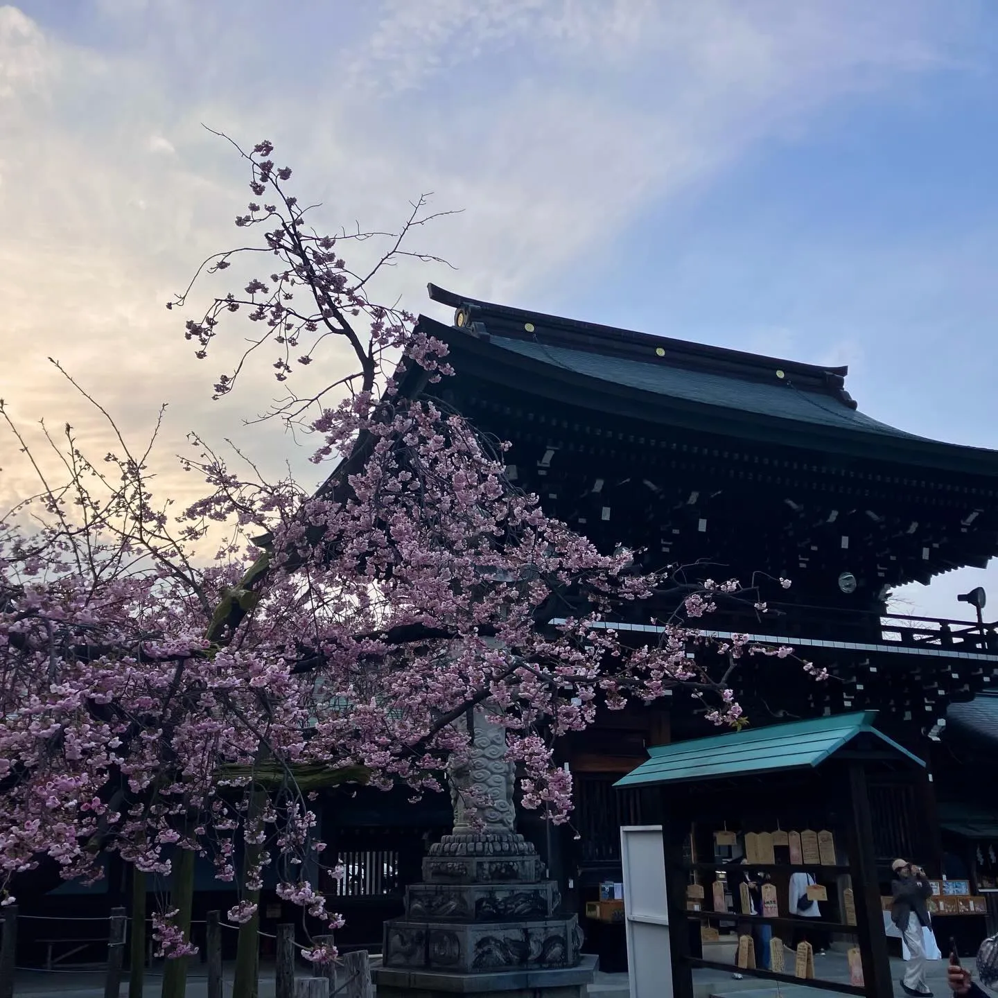 3/1 宮地嶽神社 光の道✨