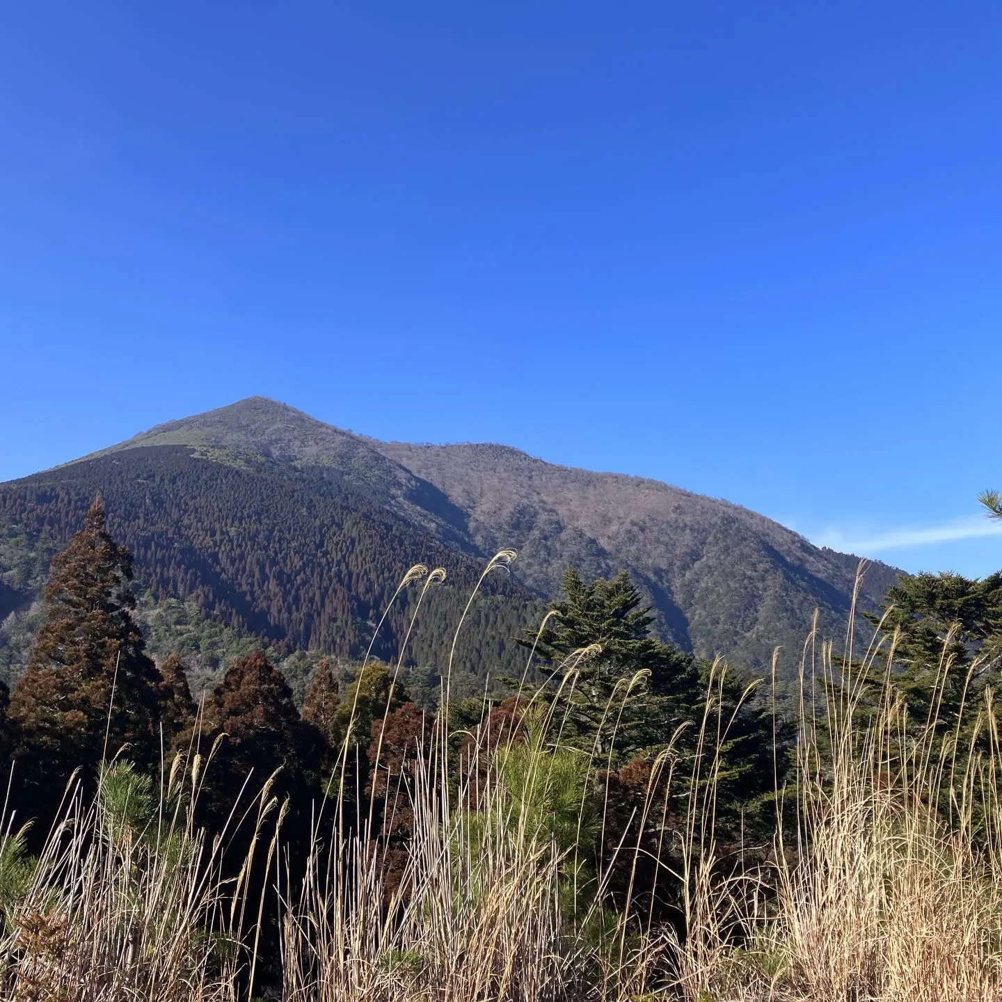 九州屈指の高峰 市房山1721m⛰️