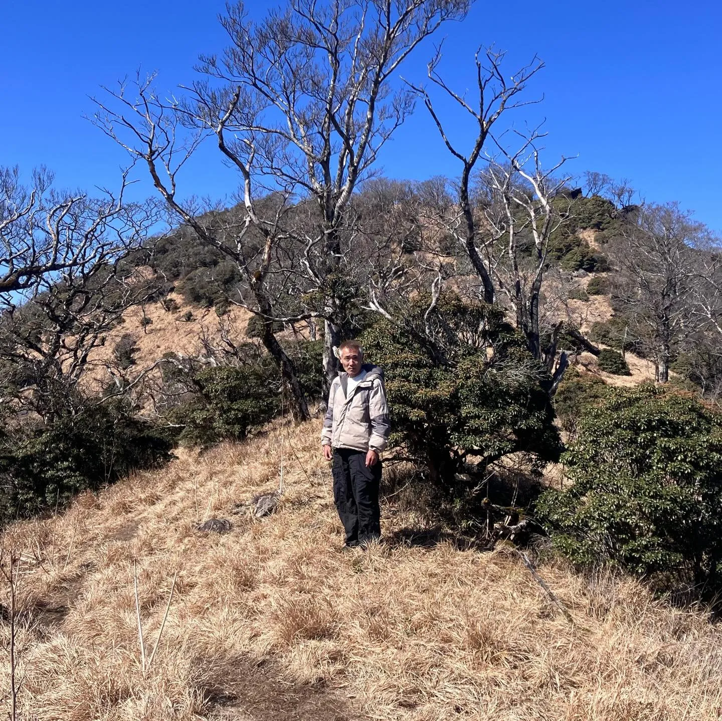 九州屈指の高峰 市房山1721m⛰️