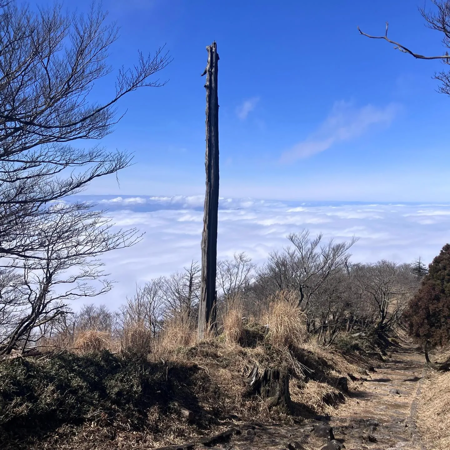 福岡を訪れたら日本三大修験山の一つ、英彦山へ登りませんか⁉️