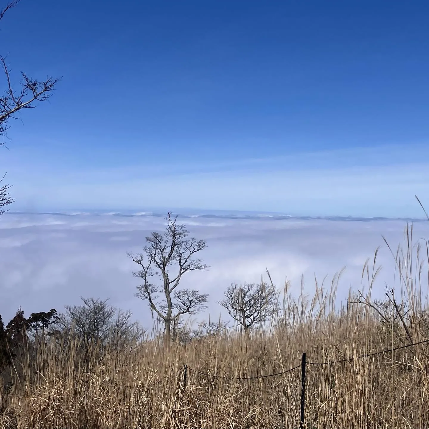 福岡を訪れたら日本三大修験山の一つ、英彦山へ登りませんか⁉️