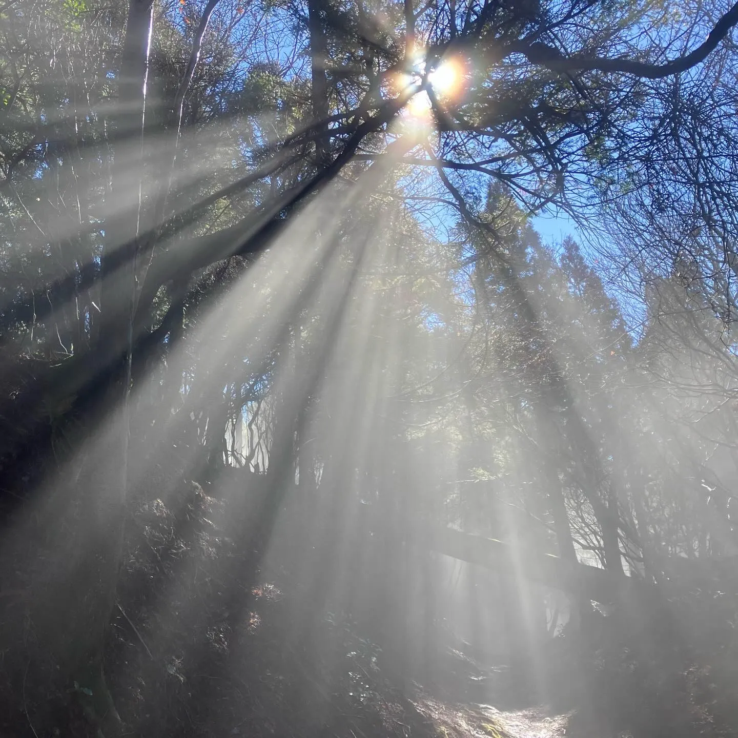 福岡を訪れたら日本三大修験山の一つ、英彦山へ登りませんか⁉️