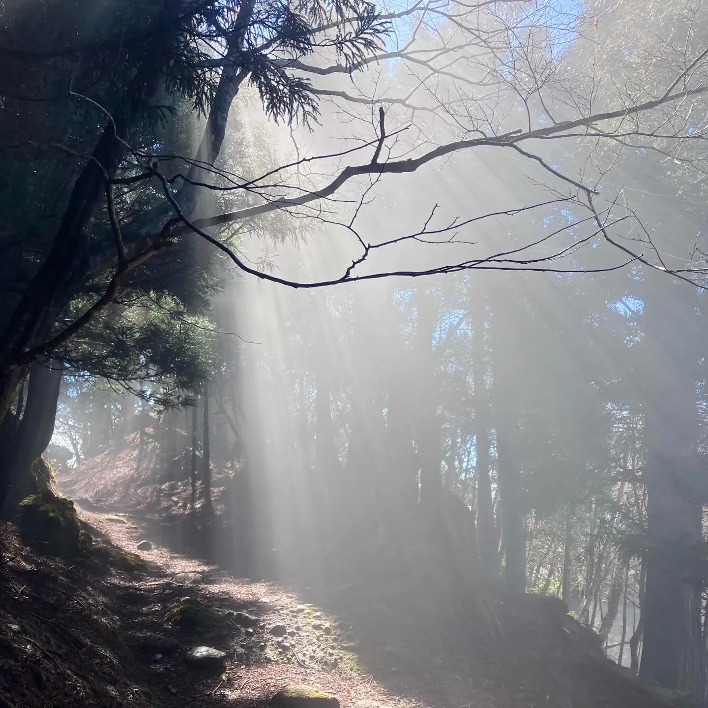 福岡を訪れたら日本三大修験山の一つ、英彦山へ登りませんか⁉️