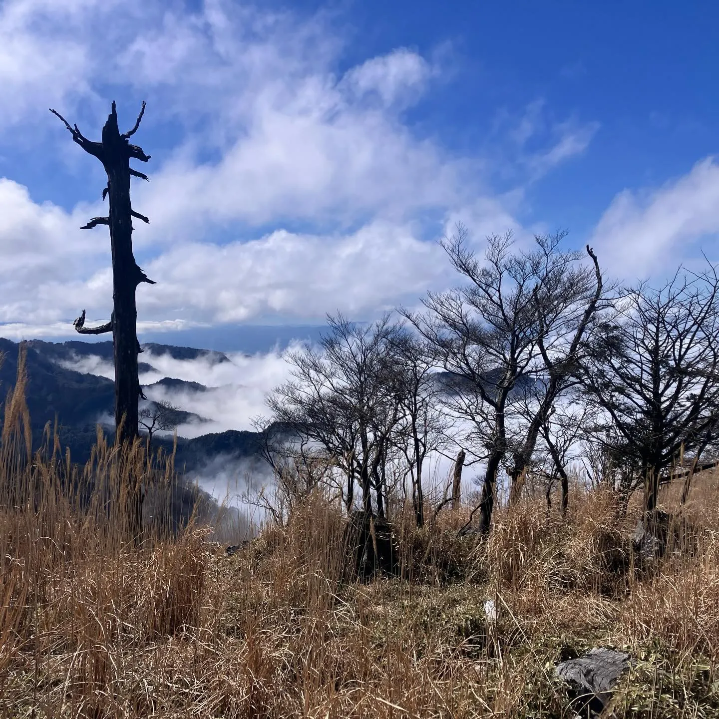 福岡を訪れたら日本三大修験山の一つ、英彦山へ登りませんか⁉️
