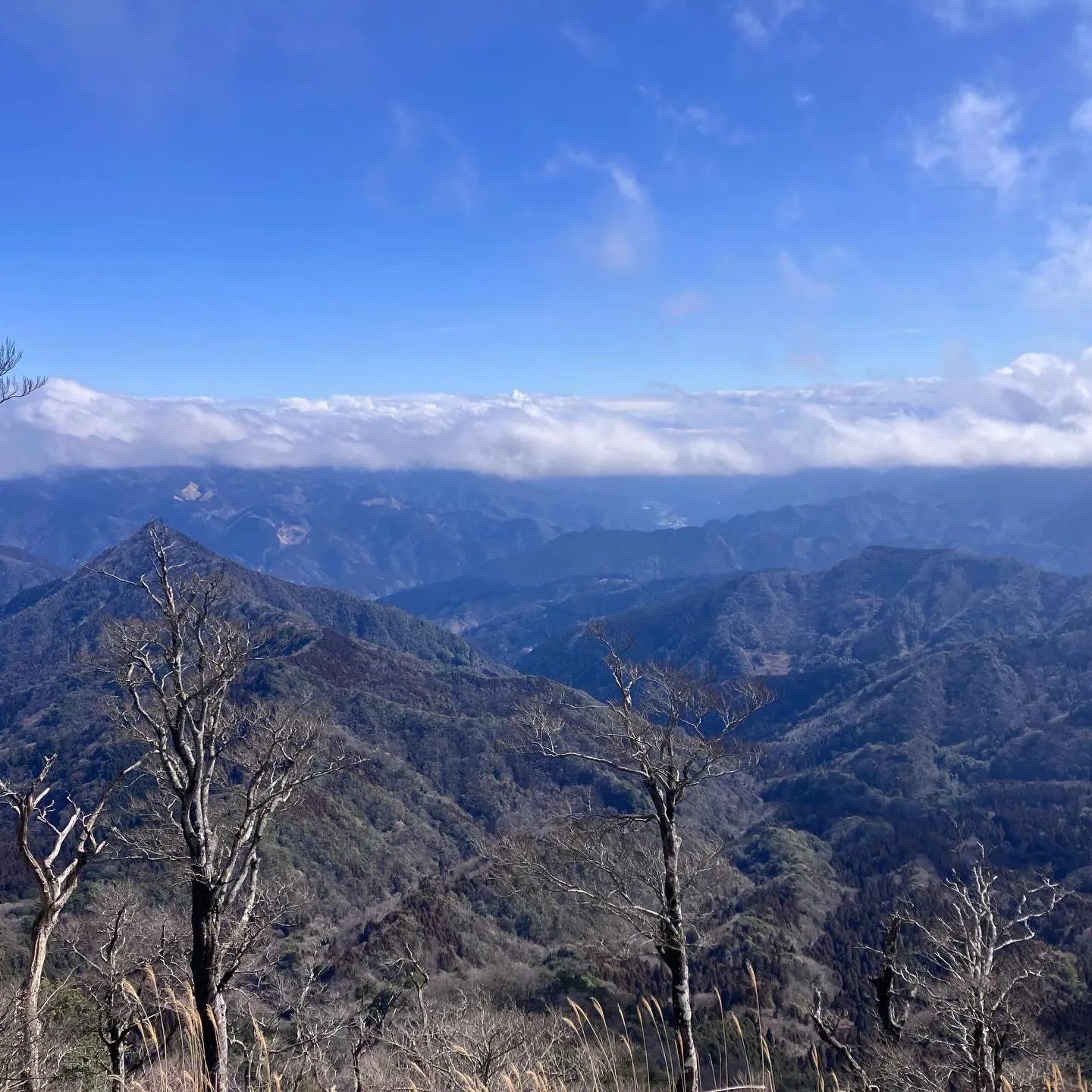 日本三大修験山👺英彦山での登山は、心も体もリフレッシュさせて...