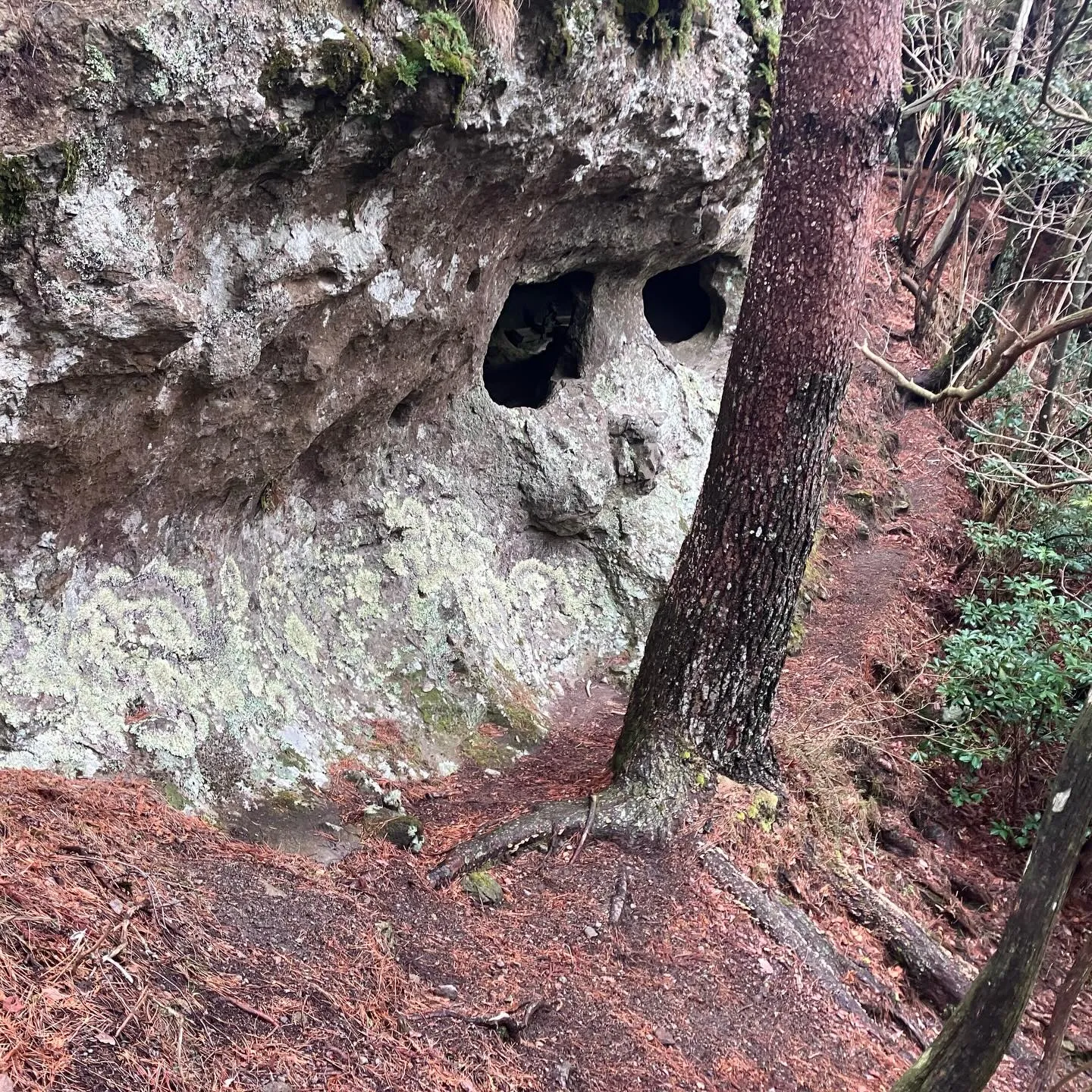 日本三大修験山👺英彦山での登山は、心も体もリフレッシュさせて...