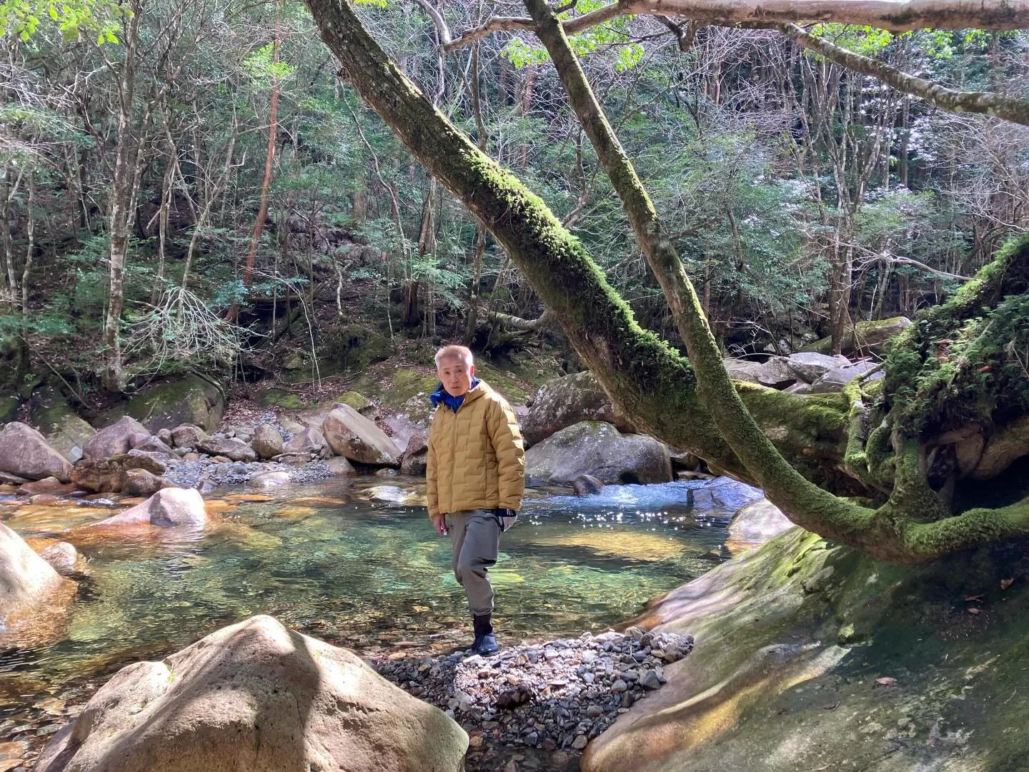 九州最奥部の秘境中の秘境、藤河内渓谷へ冒険しに行きませんか？...