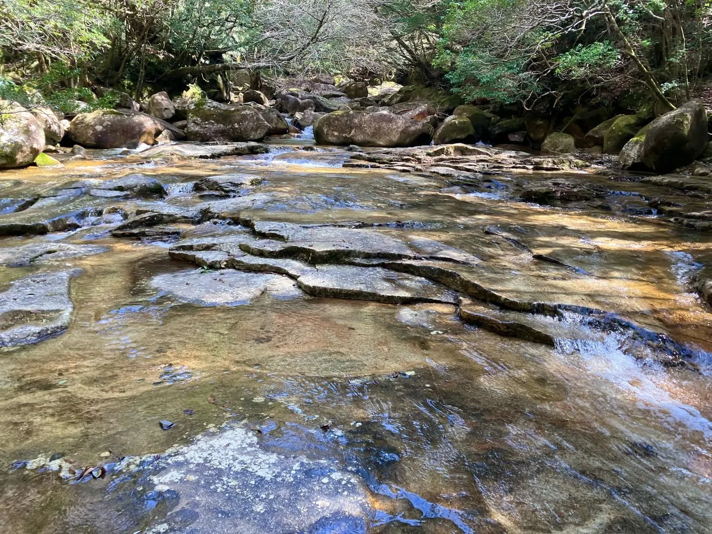 九州最奥部の秘境中の秘境、藤河内渓谷へ冒険しに行きませんか？...