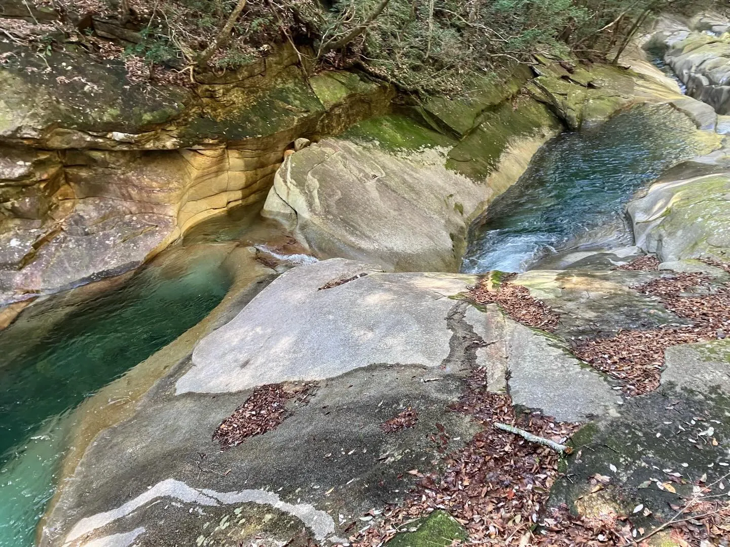 九州最奥部の秘境中の秘境、藤河内渓谷へ冒険しに行きませんか？...