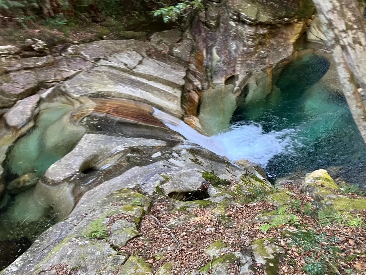 九州最奥部の秘境中の秘境、藤河内渓谷へ冒険しに行きませんか？...