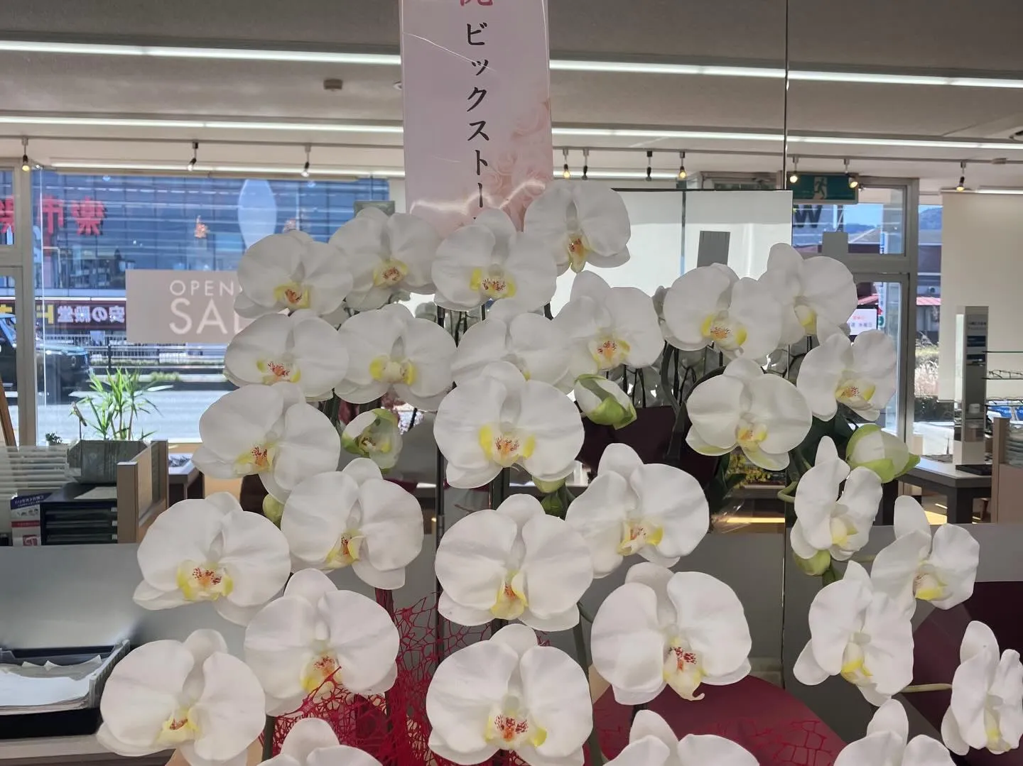 私の弟がフランチャイズオーナーとなる「メガネのミキ 久留米店...