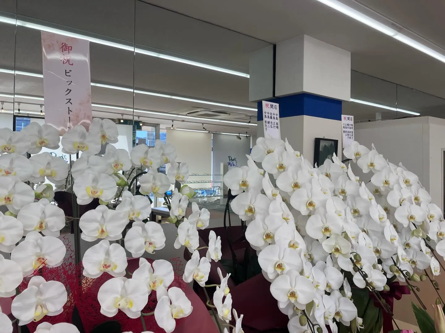 私の弟がフランチャイズオーナーとなる「メガネのミキ 久留米店...