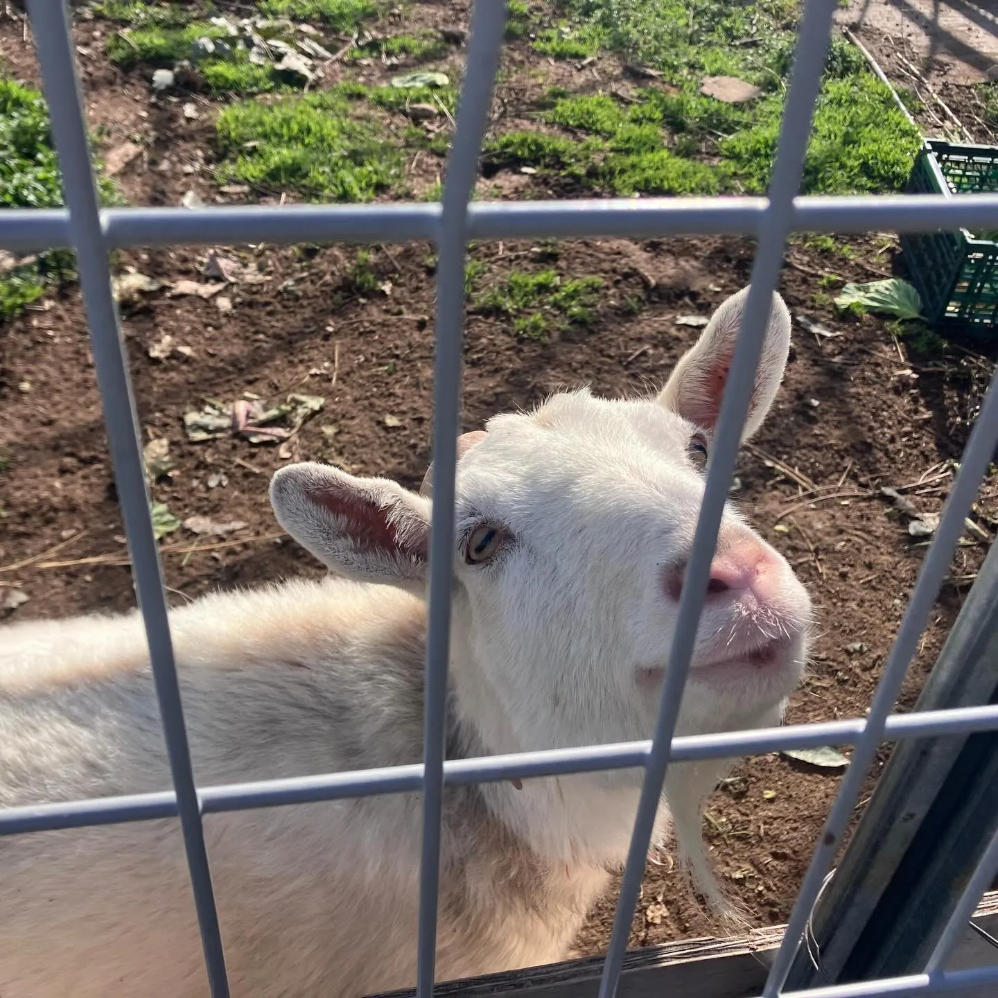福岡市を見下ろす、絶景の立花山⛰️