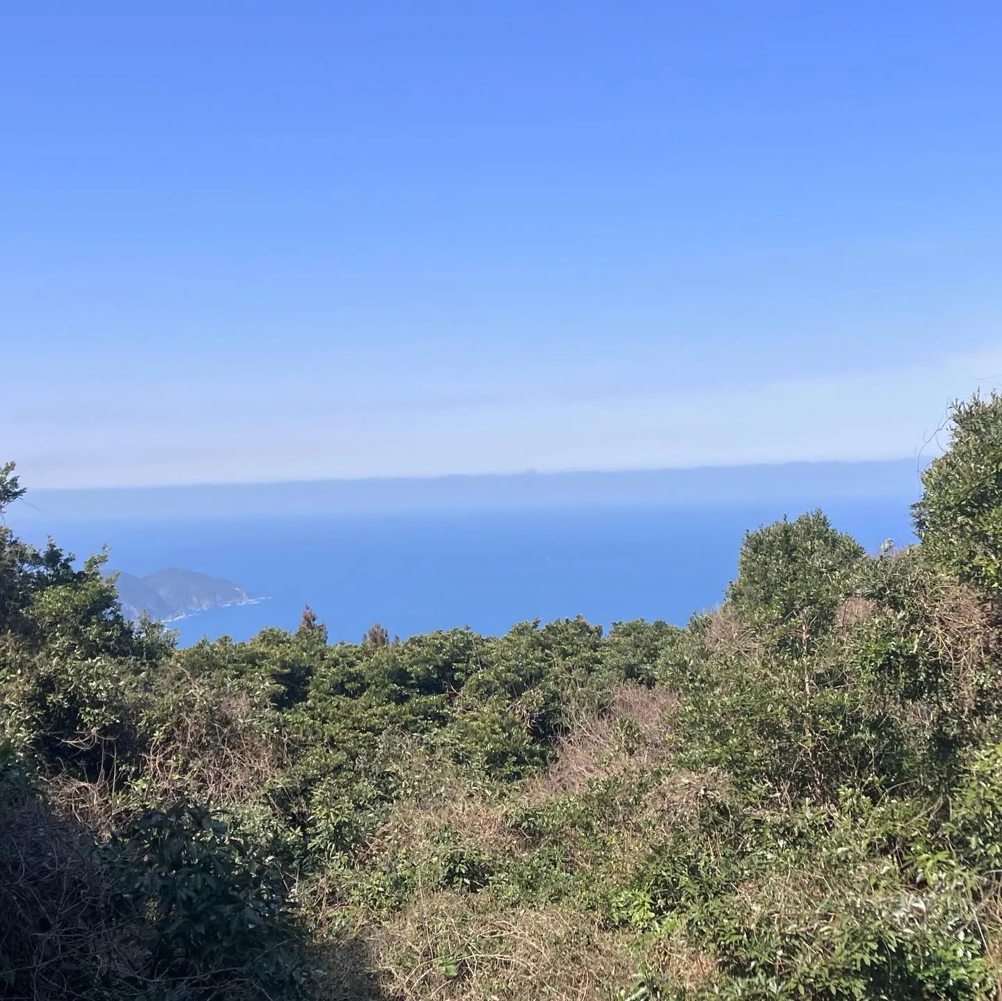 宗像市の美しい山々でのハイキングツアーに参加してみませんか？