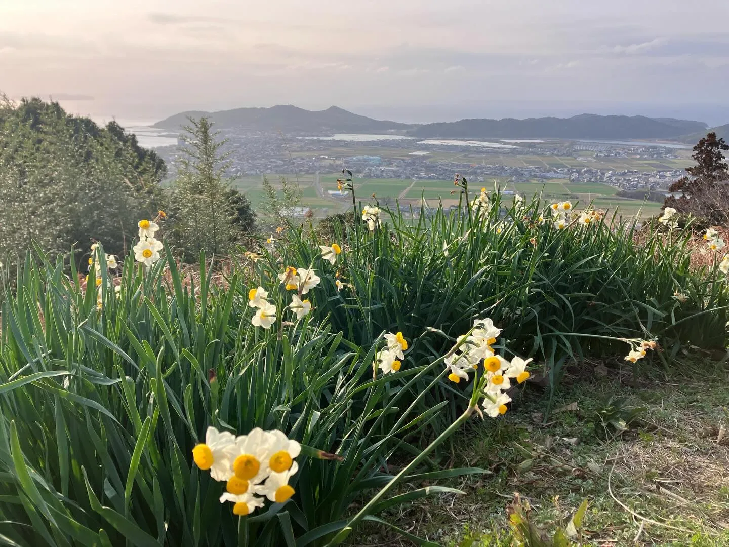 福岡の絶景スポットの一つ、宮地嶽神社に行きませんか?⛩️