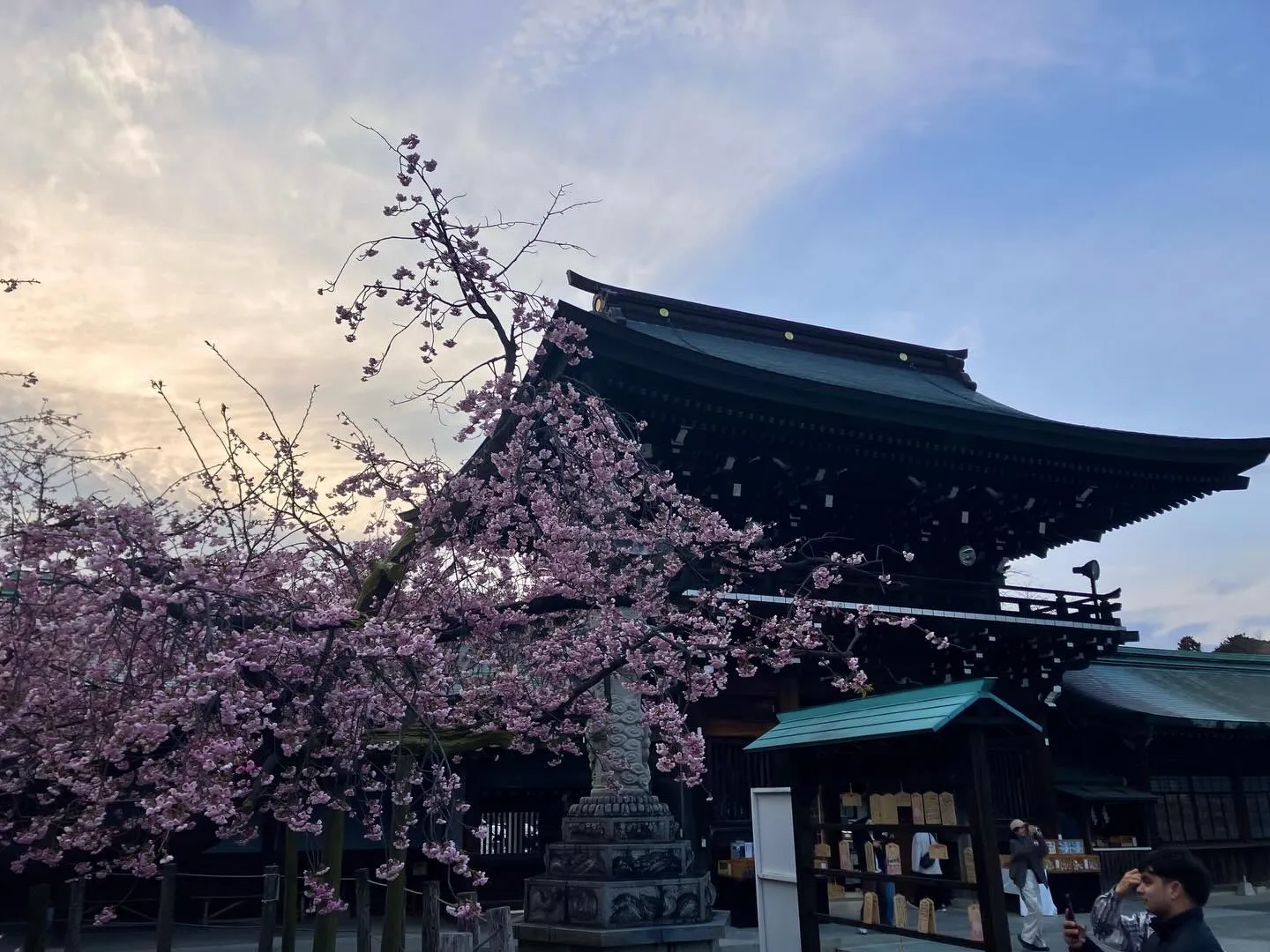 福岡の絶景スポットの一つ、宮地嶽神社に行きませんか?⛩️