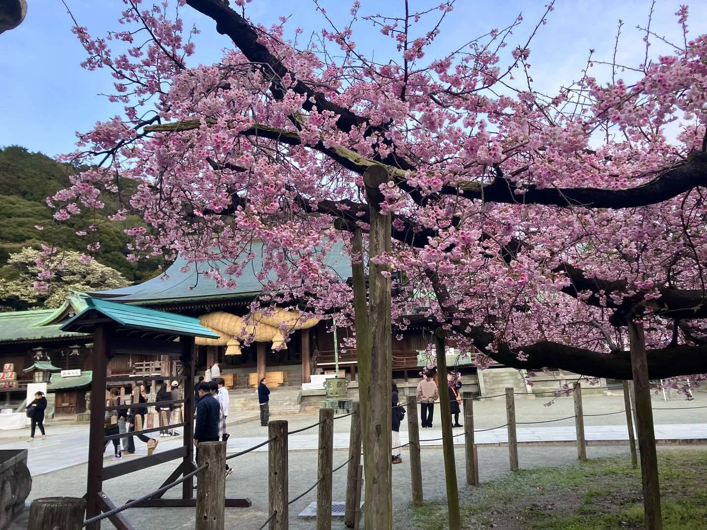 福岡の絶景スポットの一つ、宮地嶽神社に行きませんか?⛩️