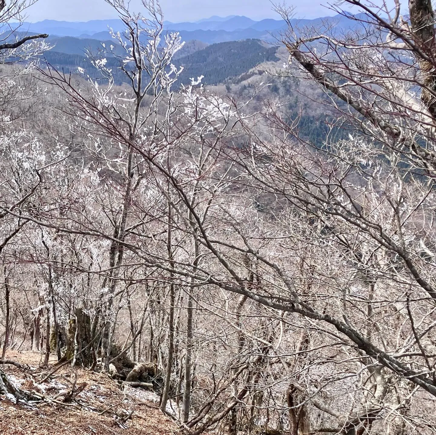 九州の未知なる魅力を探しに行きませんか？✨