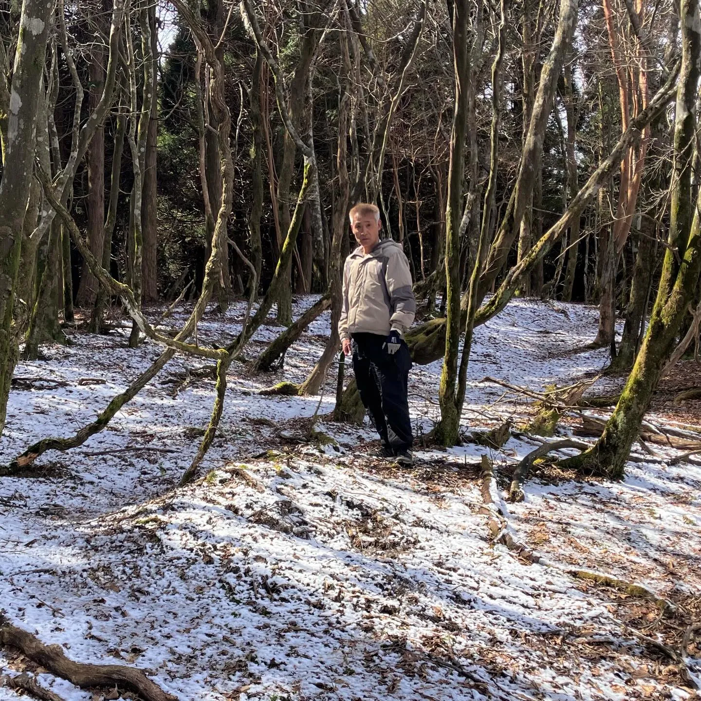 九州の未知なる魅力を探しに行きませんか？✨