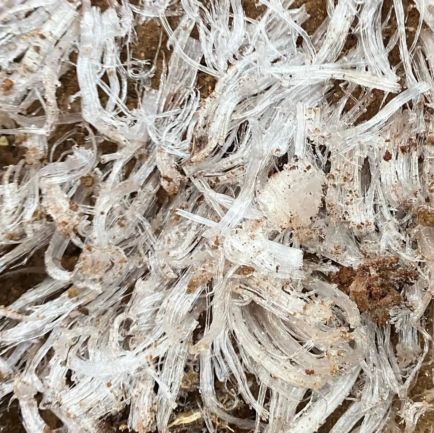 九州の未知なる魅力を探しに行きませんか？✨