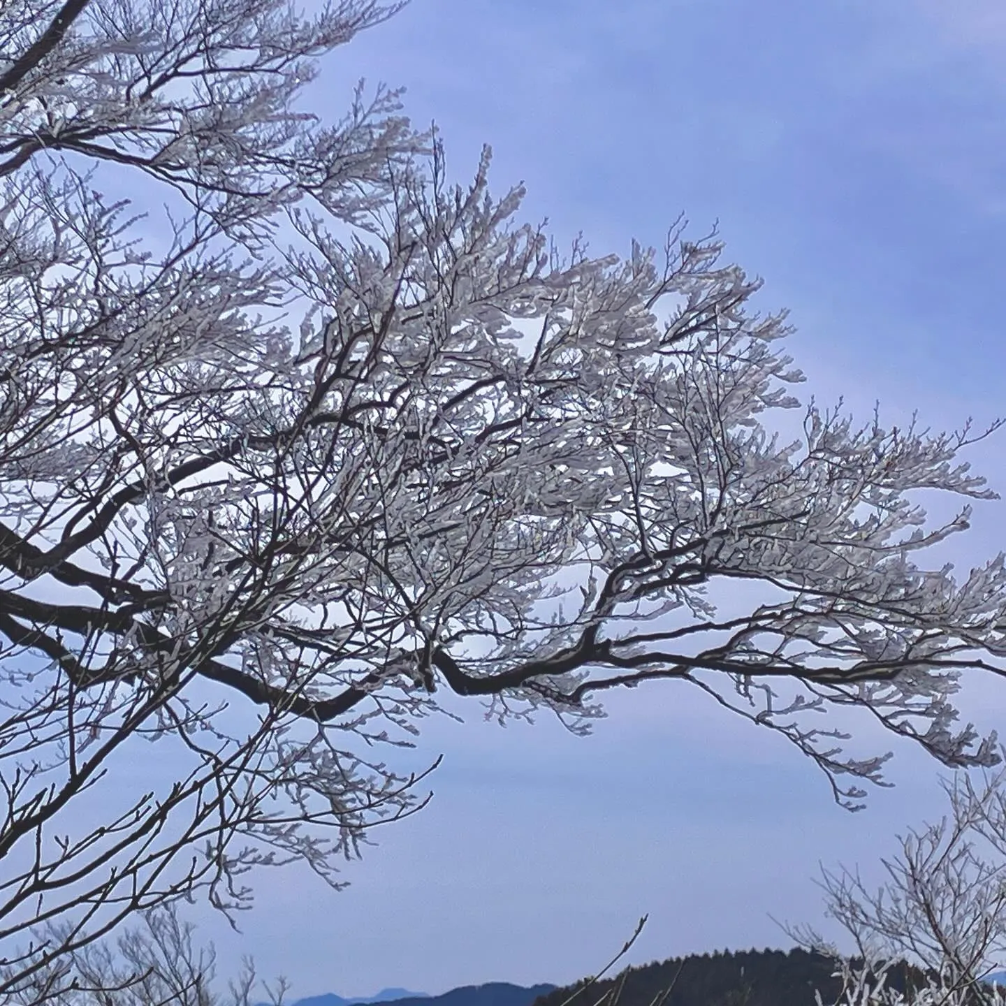 九州の未知なる魅力を探しに行きませんか？✨