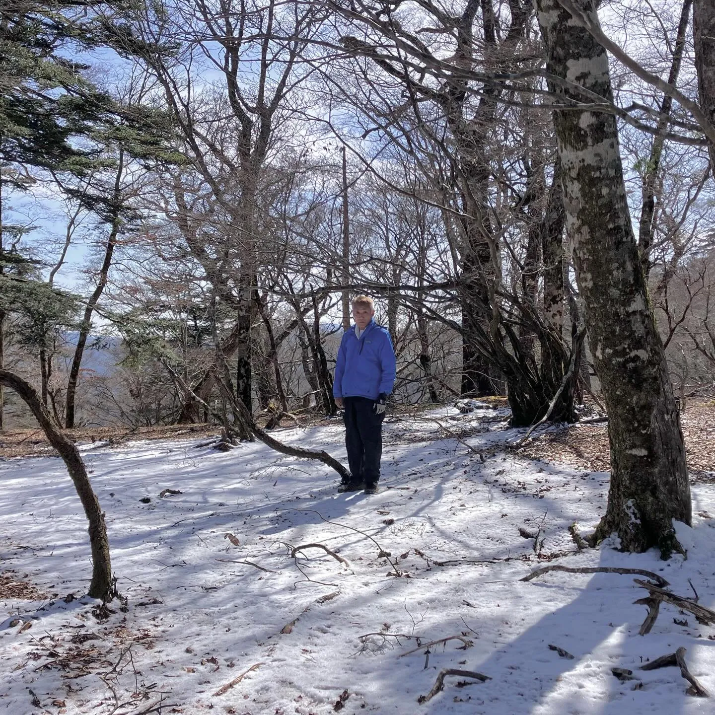 熊本県の最高峰 国見岳へと縦走途中にある平家山をご存知ですか...