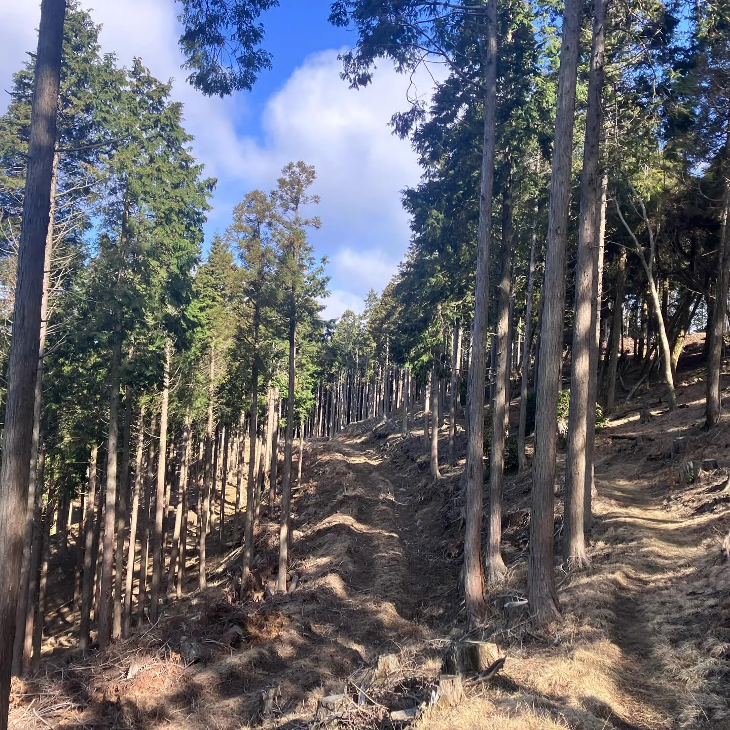 今回は大金峰へ行ってきました!