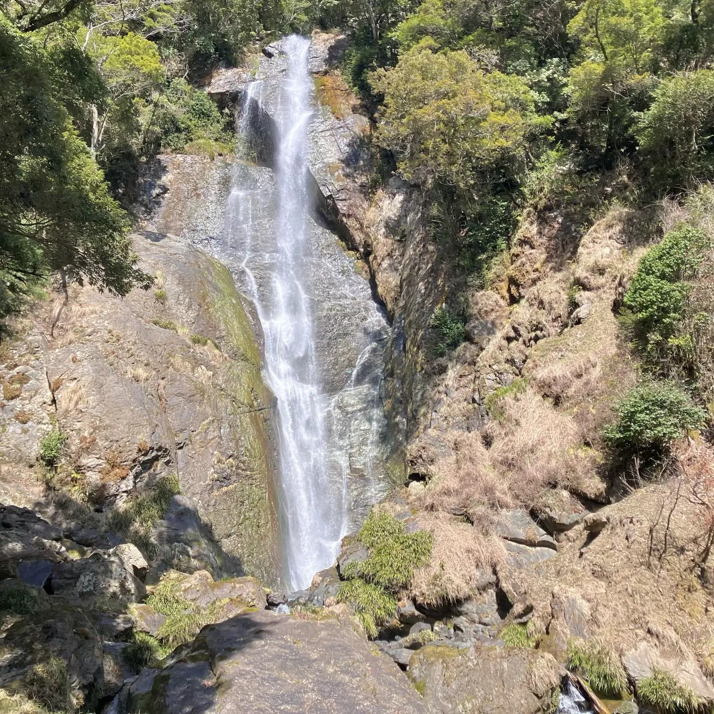 九州の秘境 五家荘の日本の滝百選 栴檀轟の滝🌿✨