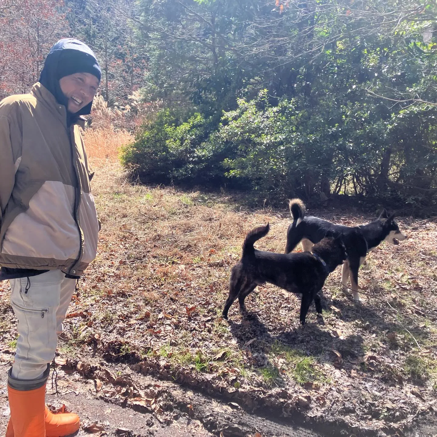 九州の秘境 五家荘の日本の滝百選 栴檀轟の滝🌿✨