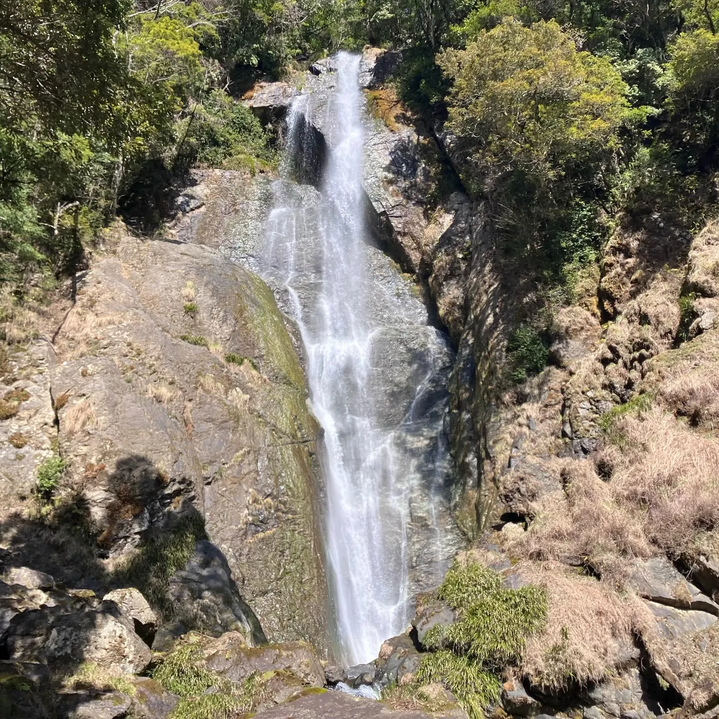 九州の秘境 五家荘の日本の滝百選 栴檀轟の滝🌿✨