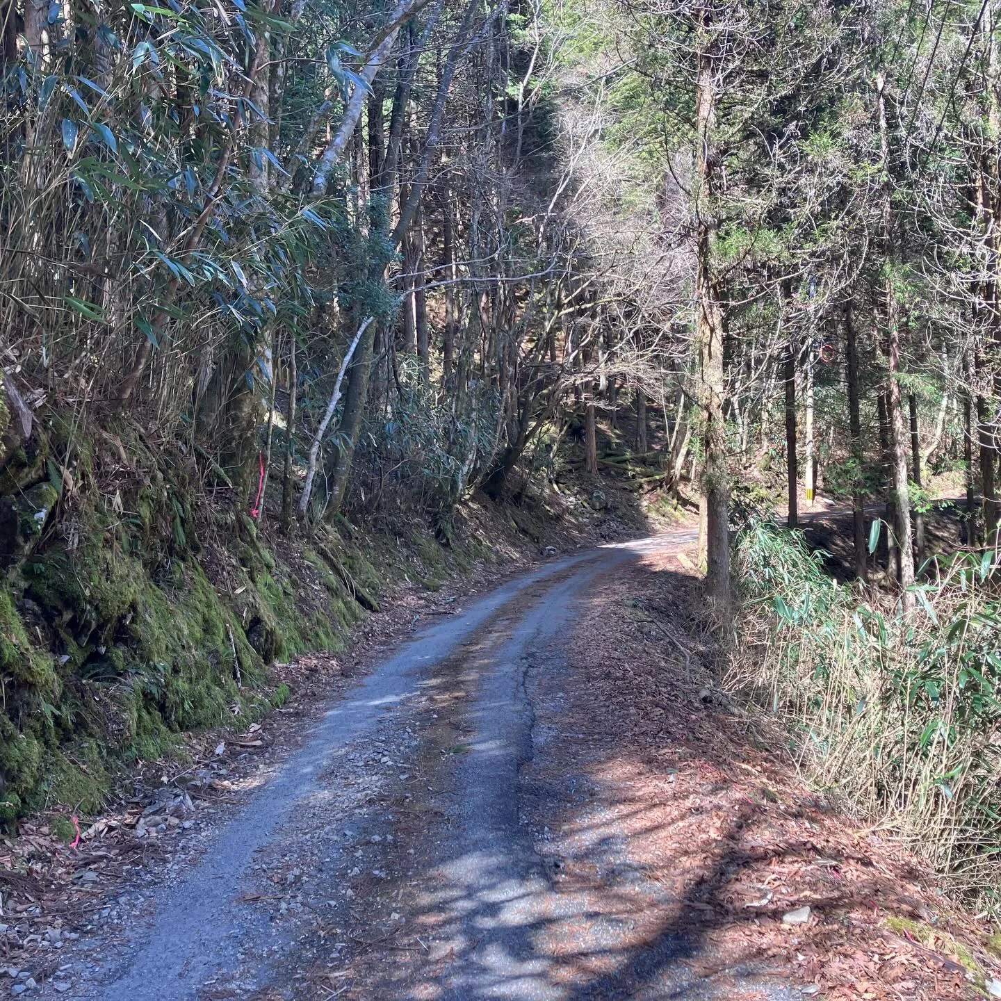 九州の秘境 五家荘の日本の滝百選 栴檀轟の滝🌿✨