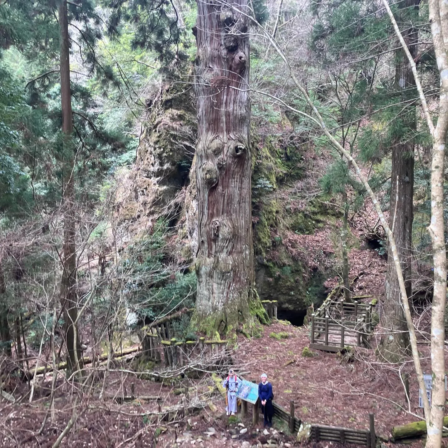 日本三大修験山 英彦山👺